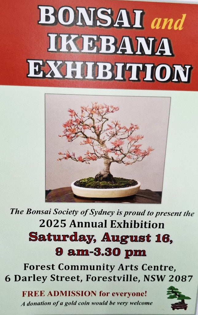 Upcoming Bonsai and Ikebana exhibition 2025