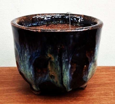 Japanese Mame Pot MP8