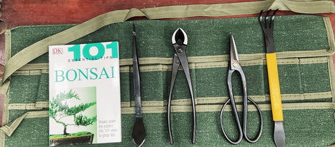 Bonsai Beginners Tool Kit