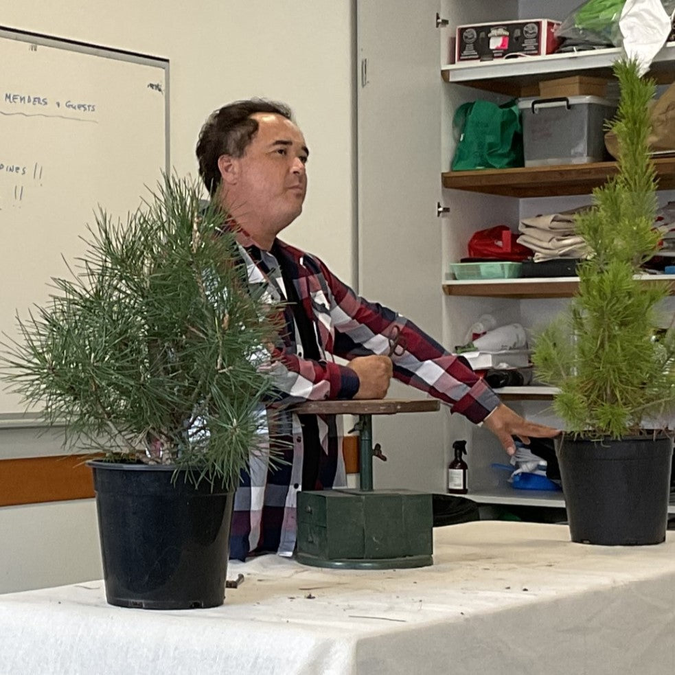 Bonsai Course - Beginners - Saturday - 2025