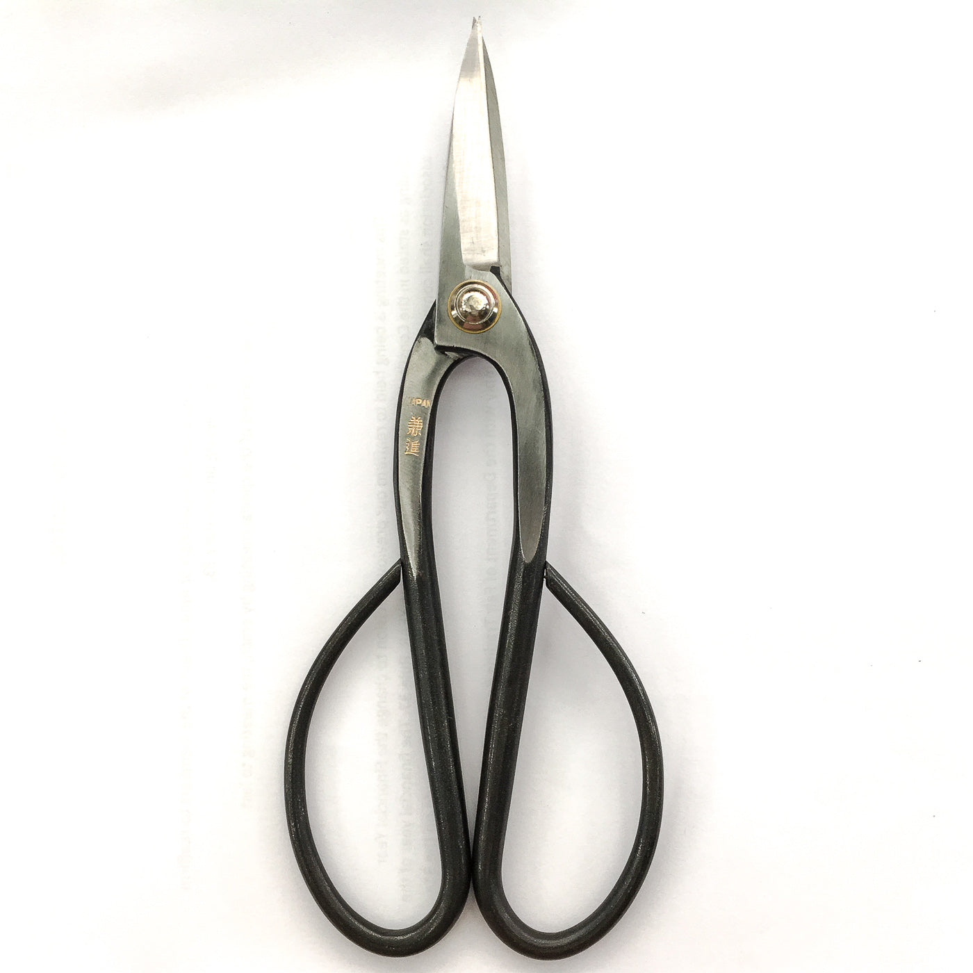 Pruning Scissors